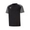 Puma teamPACER s/s Jersey