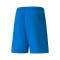 Puma Team LIGA Shorts