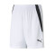 Puma Kids Team LIGA  Shorts