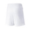 Puma Kids Team LIGA  Shorts