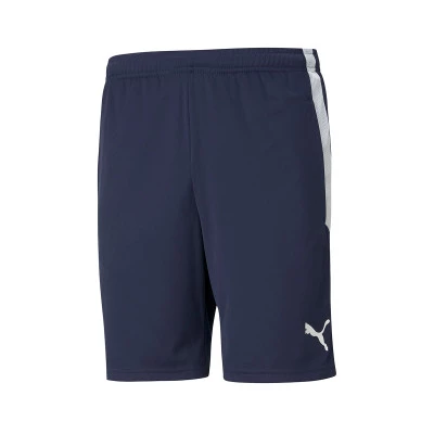 teamLIGA Training Shorts