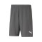 Puma teamRISE Shorts