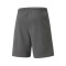 Puma teamRISE Shorts