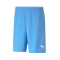 Puma teamRISE Shorts