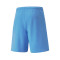 Puma teamRISE Shorts