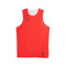 Puma Reversible Hoops Team Top