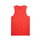 Puma Reversible Hoops Team Top 