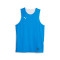 Top Puma Reversible Hoops Team