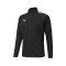 Puma teamLIGA Jacket