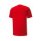 Maglia Puma teamGOAL