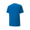 Camiseta Puma teamGOAL