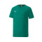 Puma Kids teamGOAL  Jersey