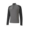 Puma teamLIGA Sweatshirt