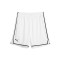 Puma Hoops team Shorts