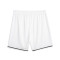 Puma Hoops team Shorts