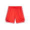 Pantaloncini Puma Hoops team