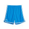 Puma Hoops Team Shorts