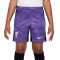 Nike Kids Liverpool FC Third Kit Shorts 2023-2024 Shorts