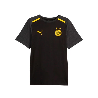 Camiseta BVB Borussia Fanswear 2023-2024