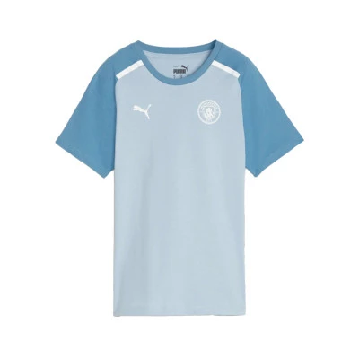 Camisola Manchester City Fanswear 2023-2024