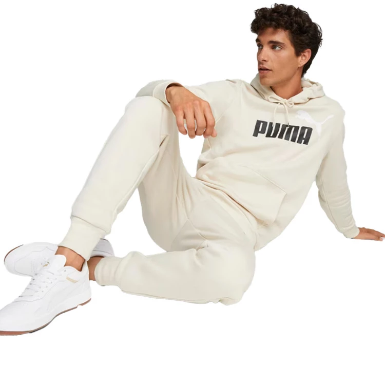 sudadera-puma-essentials-2-col-big-logo-alpine-snow-2