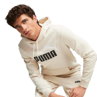 Essentials + 2 Big Logo Sweatshirt