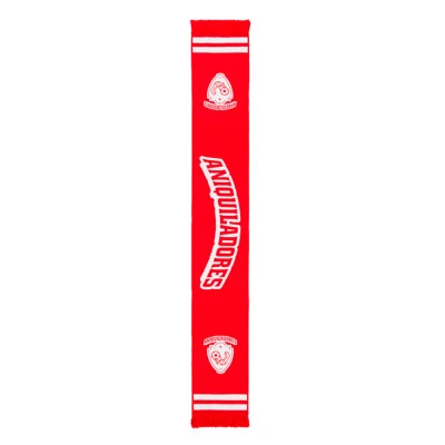 Aniquiladores FC Scarf