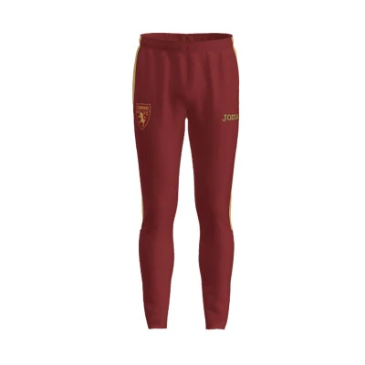 Torino Entrenamiento 2023-2024 Lange broek