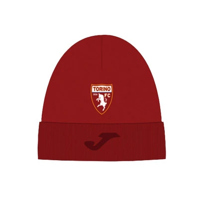 Torino 2024-2025 Beanie