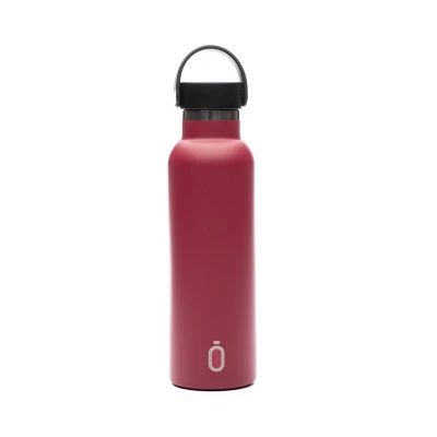 Thermo 600ML Bottle