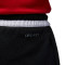 Jordan Dri-Fit Sport Diamond Shorts