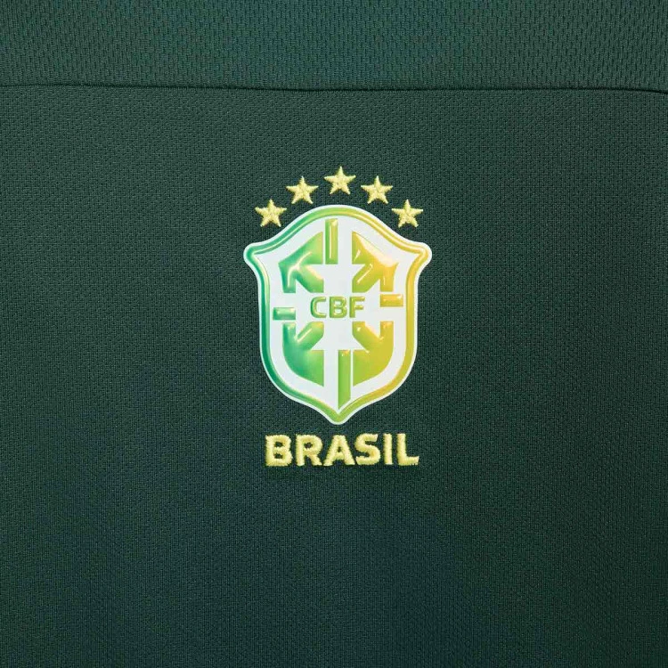 camiseta-nike-brasil-fanswear-copa-america-2024-pro-green-light-green-spark-dynamic-yellow-5