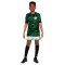 Maglia Nike Nigeria Away per Bambini