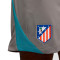 Nike Atletico de Madrid-Training 2024-2025 Shorts