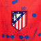 Nike Kinderen Atlético de Madrid Training 2024-2025 Shirt