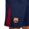 Nike FC Barcelona 2024-2025 Home Kit Shorts