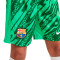 Short Nike FC Barcelona Primera Equipación Portero 2024-2025 Niño