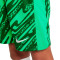 Nike FC Barcelona Kinder Torwart Trikot für Kinder Shorts