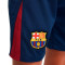 Nike Kinderen van FC Barcelona 2024-2025 voor kinderen Shorts