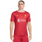 Nike Liverpool FC 2024-2025 Home Jersey