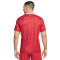 Nike Liverpool FC 2024-2025 Home Jersey