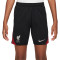 Nike Kids Liverpool FC Training 2024-2025 Shorts