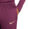 Pantalón largo Nike PSG Training 2024-2025