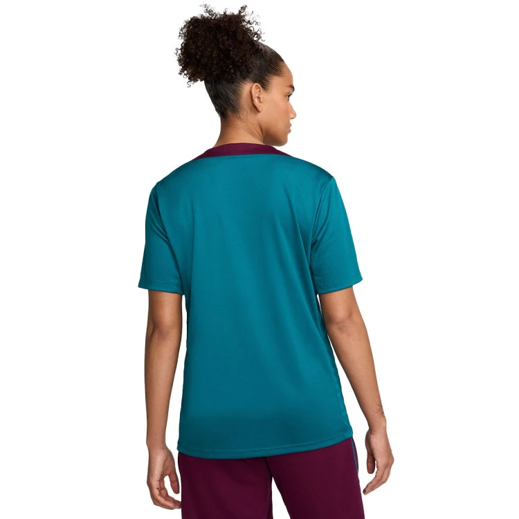 camiseta-nike-psg-training-2024-2025-geode-teal-bordeaux-guava-ice-1