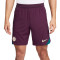 Nike PSG Training 2024-2025 Shorts