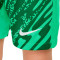 Short Nike Enfant PSG Kit Domicile Gardien de but 2024-2025