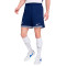 Nike Tottenham 2024-2025 Home Kit Shorts