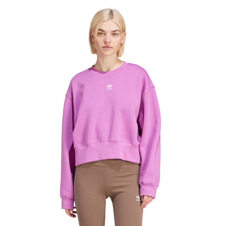 Adidas trefoil sweatshirt women's best sale