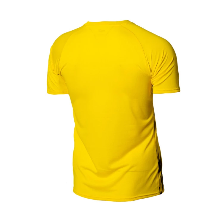 camiseta-puma-bvb-borussia-pre-match-2023-2024-cyber-yellow-black-1