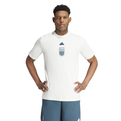 Italy Fanswear Euro 2024 T-Shirt